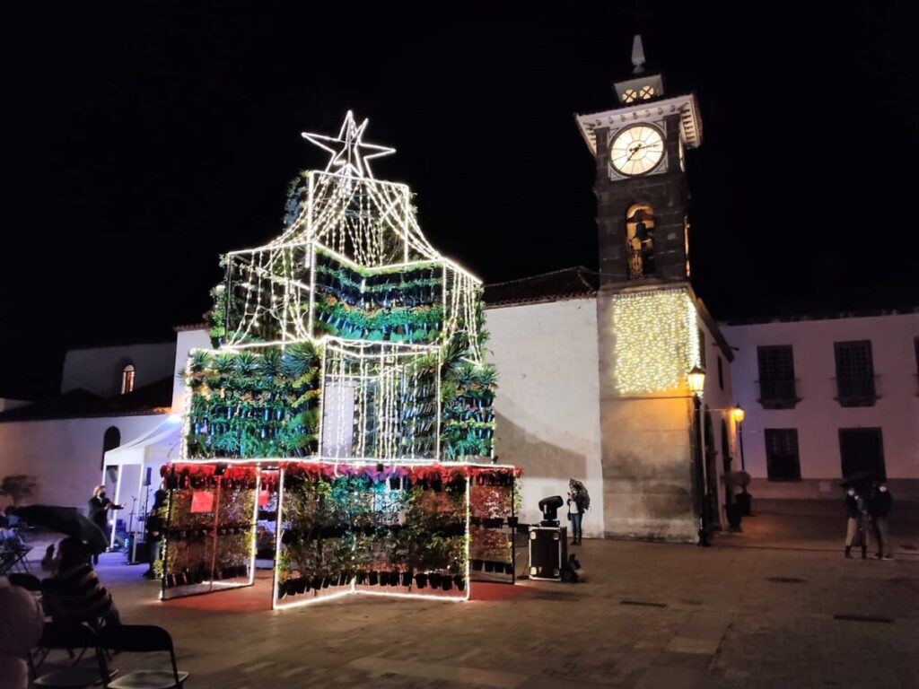 Arbol-de-San-Juan Arbol-de-San-Juan