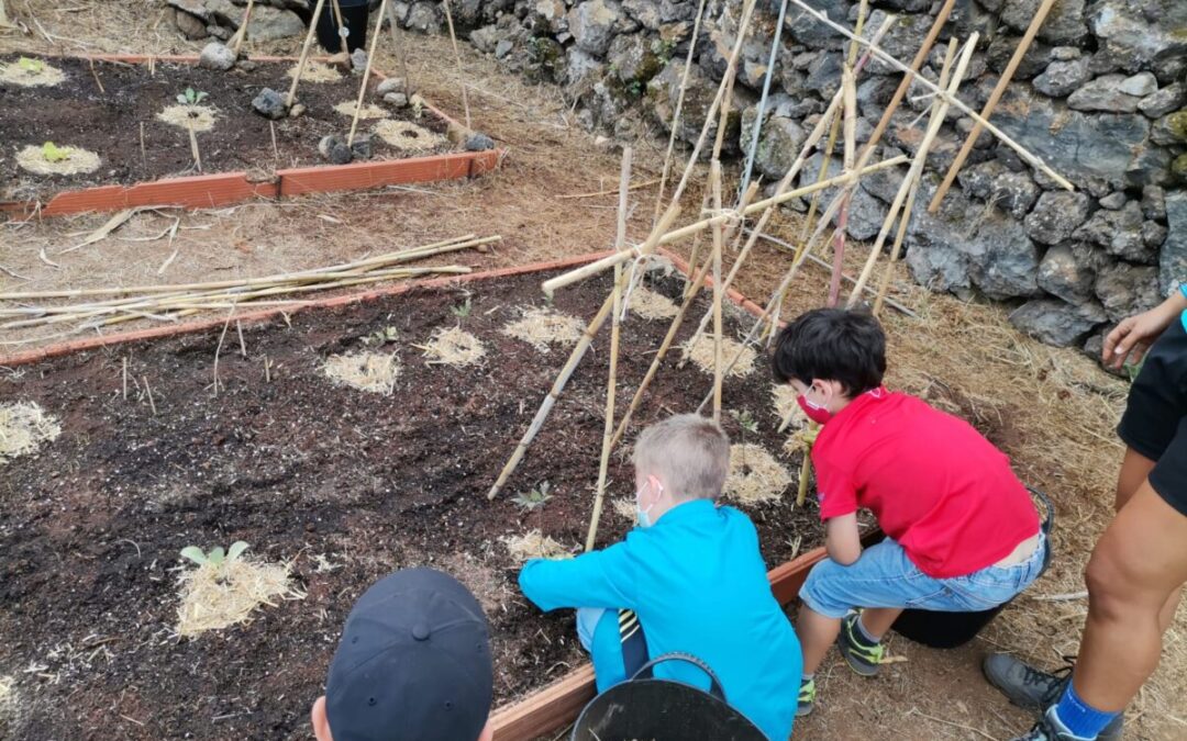 A sembrar y cuidar las huertas se aprende desde edades tempranas