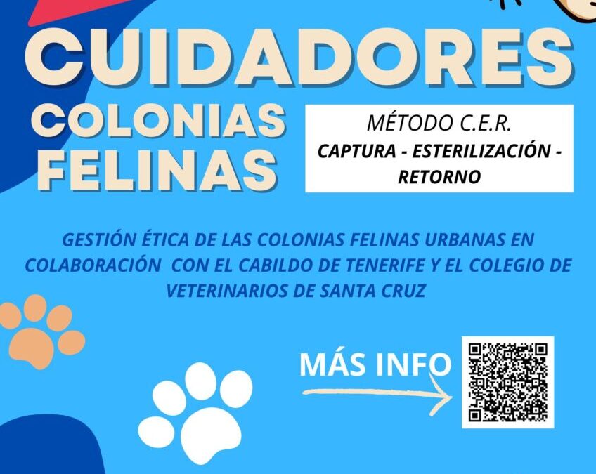 Abierta inscripción para cuidadores voluntarios de colonias felinas